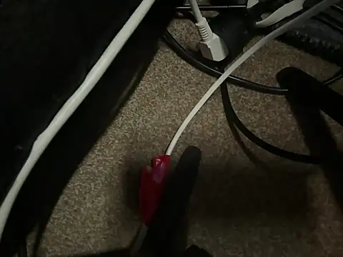OptimuscleXX webcam
