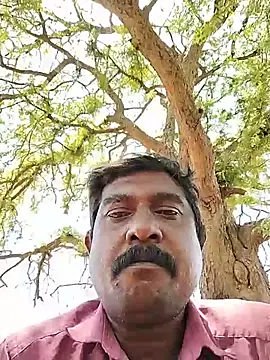 ApposedBearingtamilnadu webcam