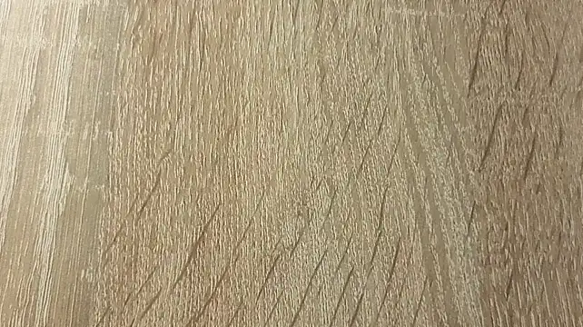 NoFace_Model webcam