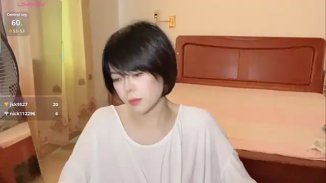 Linda-LL webcam