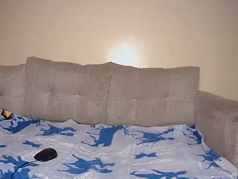 SilkSerenity webcam