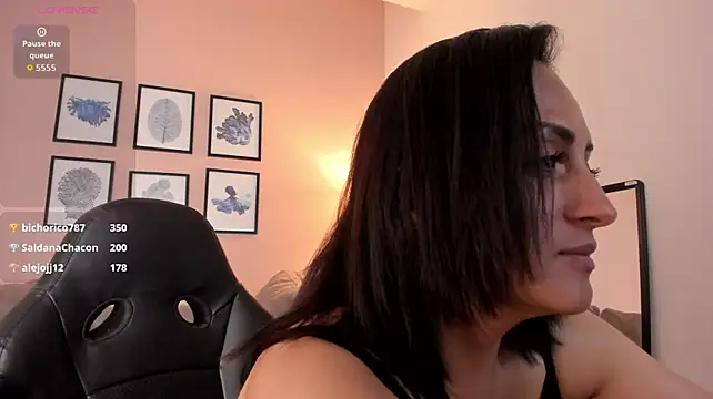 evazul webcam