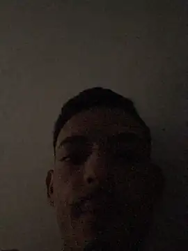 Hendricklavel1 webcam