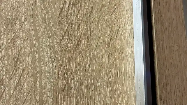 NoFace_Model webcam