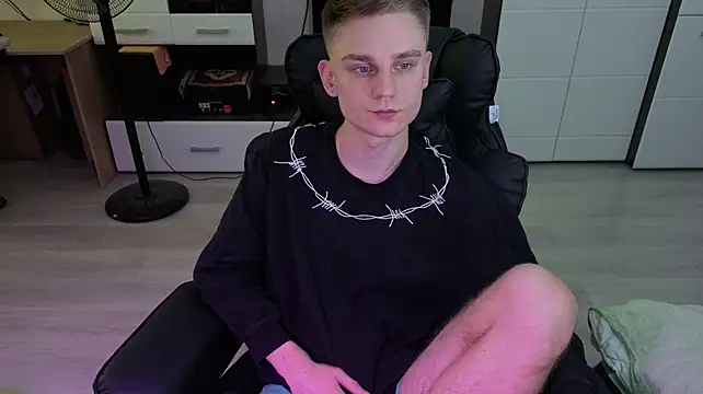 pvlpstvy webcam