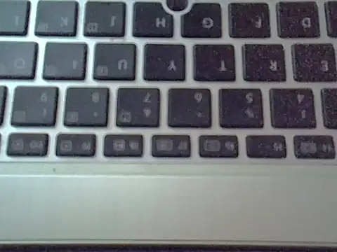 Delicious-D webcam