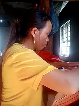 phuongtrinh1 webcam