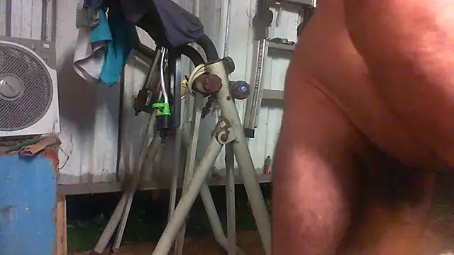 herbie010666 webcam