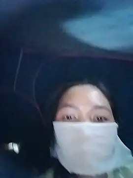 Hiha-nn webcam