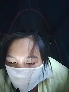 Hiha-nn webcam