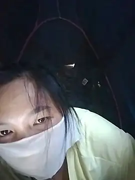 Hiha-nn webcam