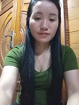Td3di webcam