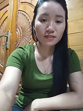 Td3di webcam