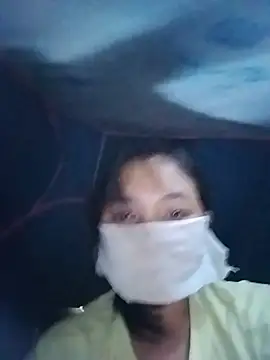 Hiha-nn webcam