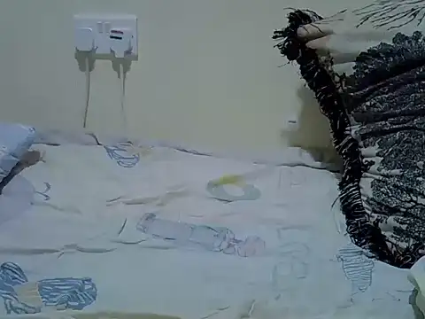 verl1 webcam
