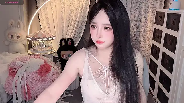agmer0500 webcam