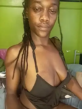 Paulahaze webcam