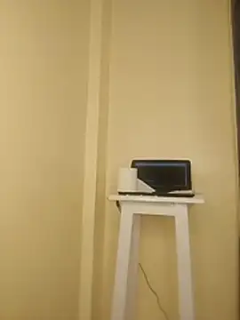 Sayilly webcam