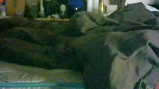 CR3M3_FIR3 webcam