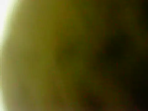 HyDrASaMi69 webcam