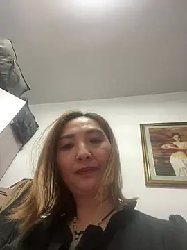 xiaoyanziandeng webcam