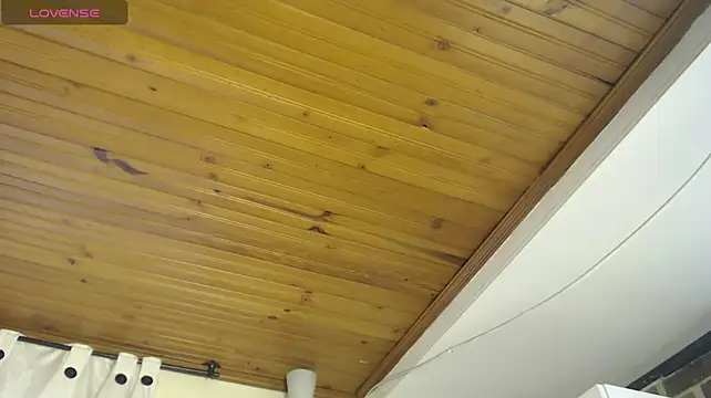 AyameFoxy webcam