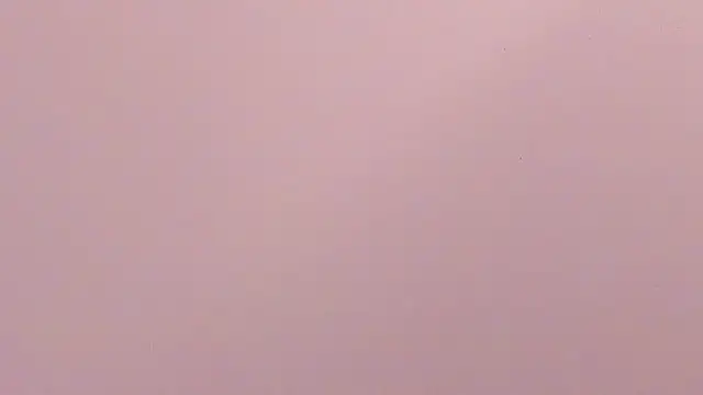 b3cky_ webcam