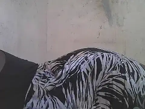 FOXY-DOLLY webcam