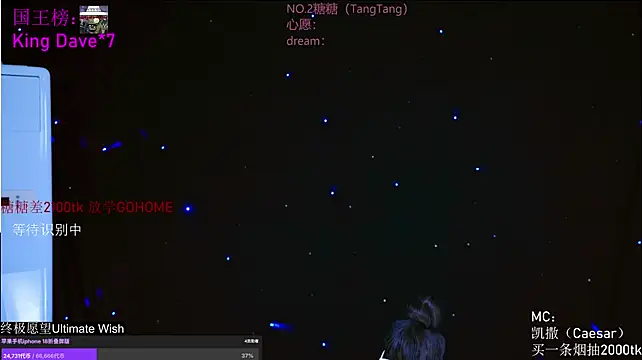 CCTW-100 webcam
