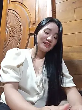 Td3di webcam