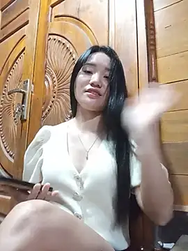 Td3di webcam