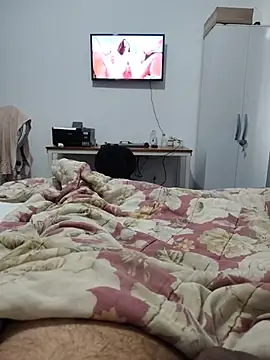 Willdpo webcam