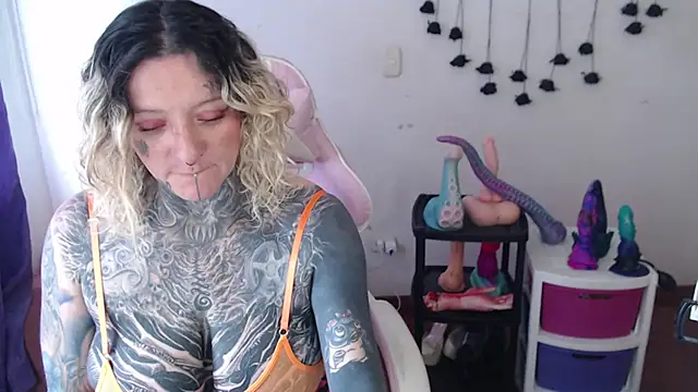 SLOPPYTITSS webcam