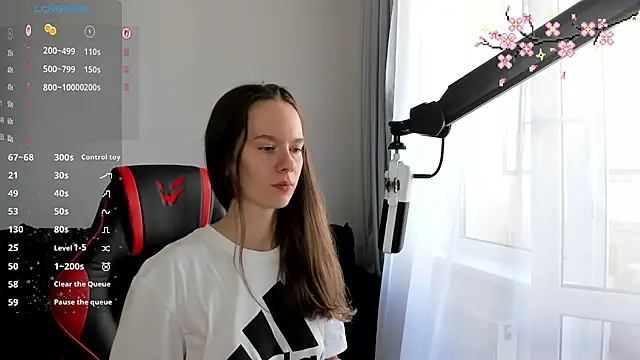 Vulgar_Tamer