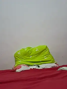altinya webcam