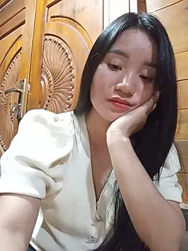 Td3di webcam