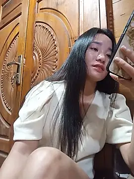 Td3di webcam