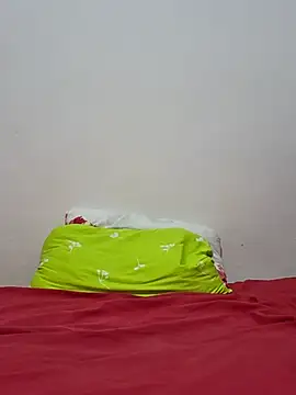 altinya webcam