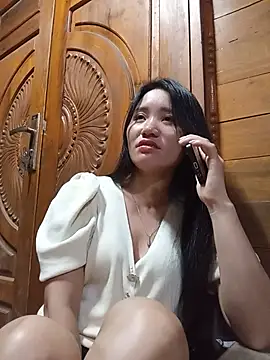 Td3di webcam