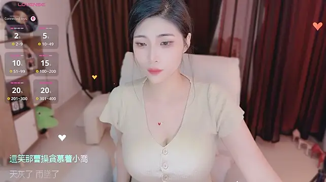 Vaidurya-Yolo webcam