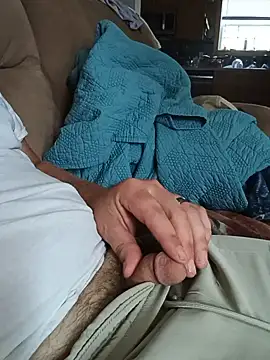 manlysissyslave webcam