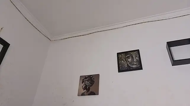 lexyfyre webcam