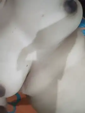 Bong_Puspa webcam