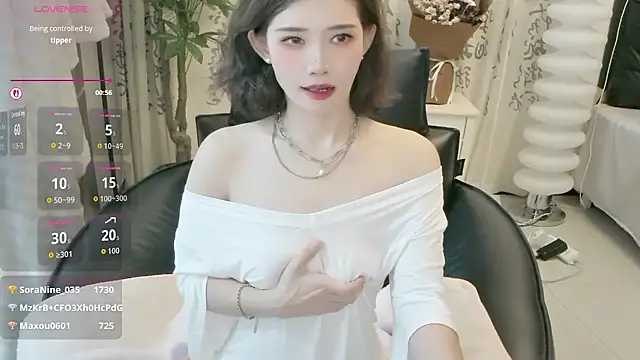 LIN-AN webcam