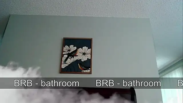 Snarfle82 webcam