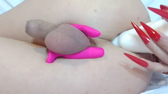 Chleona webcam