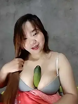 Dan-chi webcam