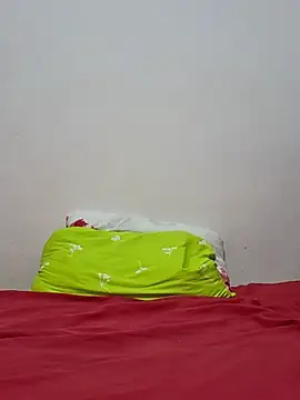 altinya webcam