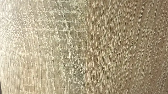 NoFace_Model webcam