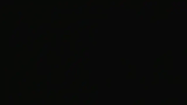 alpha-hunk webcam